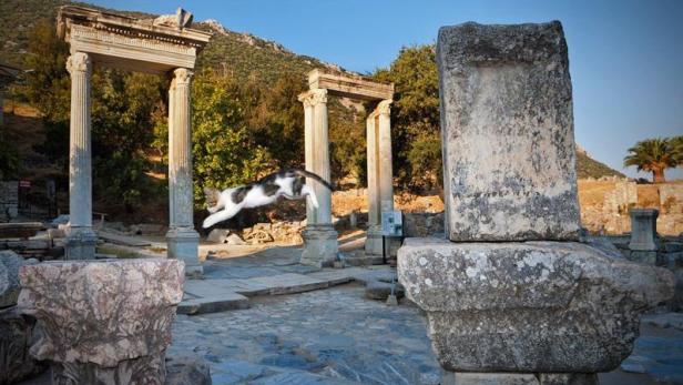 Inmitten der Ruinen in Ephesos in der Westtürkei...