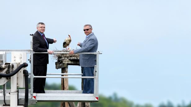 Geschäftsführer der Wiener Netze Gerhard Fida und Bürgermeister von Himberg Erich Klein beim Besuch des Storchennestes.