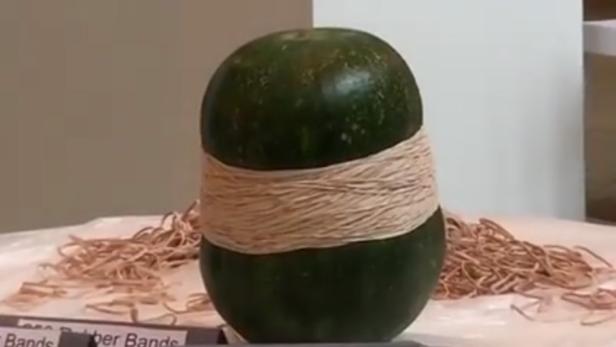 Immer wieder gut: die explodierende Wassermelone