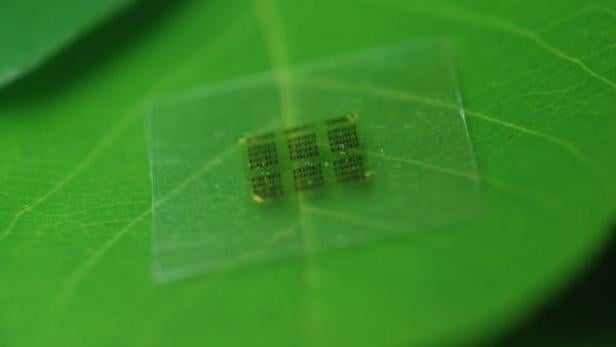 Ein Computerchip aus biologisch abbaubarem Cellulose Nanofibril auf einem Blatt