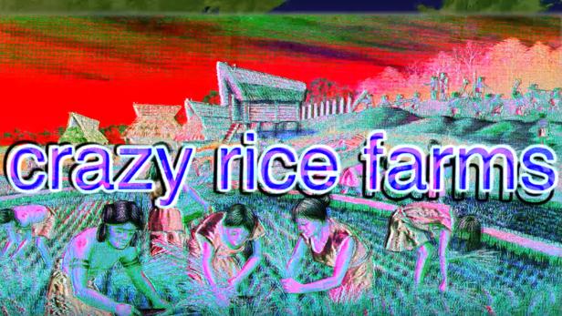 Die &quot;verrückten Reisfarmen&quot; erhielt Japan von China