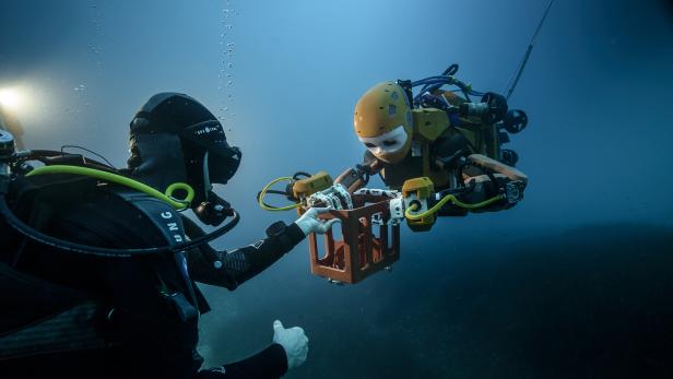 Der humanoide Unterwasser-Roboter OceanOne