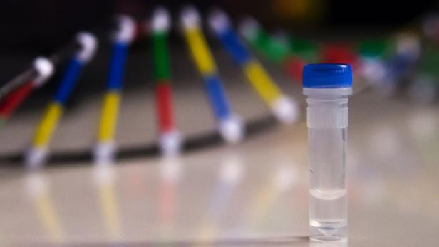 DNA könnte künftig jede Menge Daten auf kleinstem Raum speichern