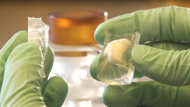 Das Start-up EpiBone züchtet Knochen mittels Stammzellen