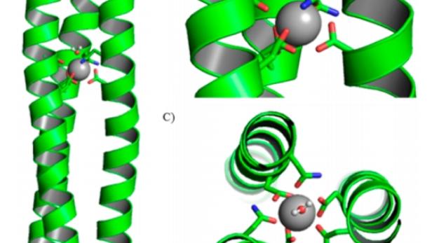 Metallion mit spiralförmigen künstlichen Proteinen