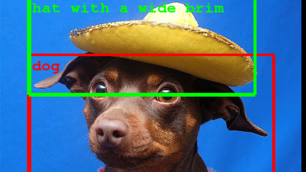 Beispiel für die Bilderkennung von Google: Ein Hut mit breitem Rand und ein Hund