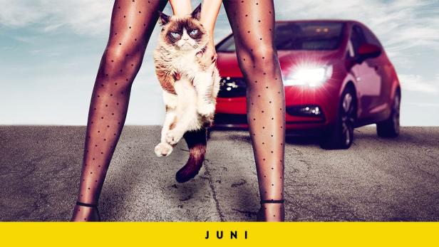 Opel wirbt mit Grumpy Cat