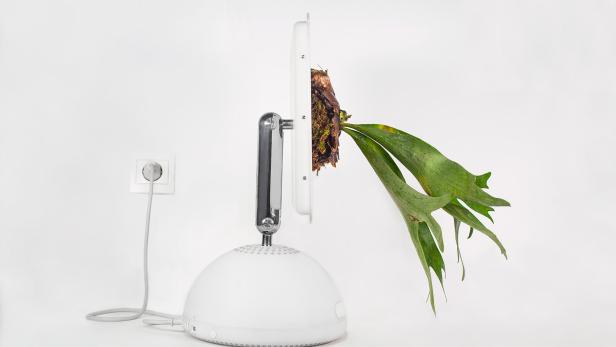 Plant your Mac ist ein Projekt von Christophe Guinet/Monsieur Plant