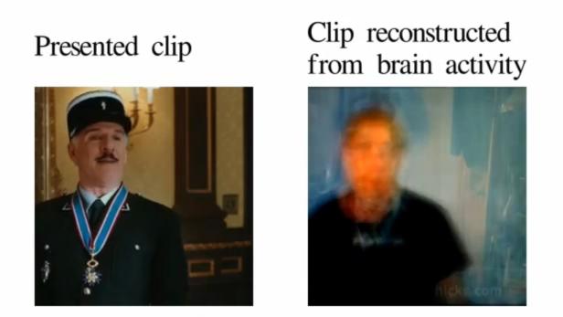 Forscher rekonstruieren Bilder aus dem Gehirn