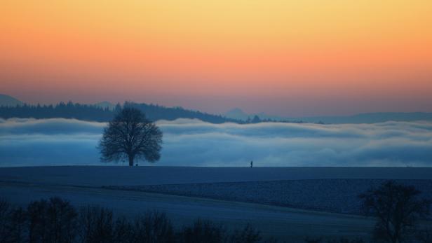 Dichter Nebel über dem Bodensee Der Bodensee soll ein detailgetreues 3D-Modell bekommen.