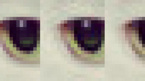 20x24 Pixel reingezoomt vom Auge einer Katze. Links das unkomprimierte Original, rechts das mit Guetzli komprimierte File.