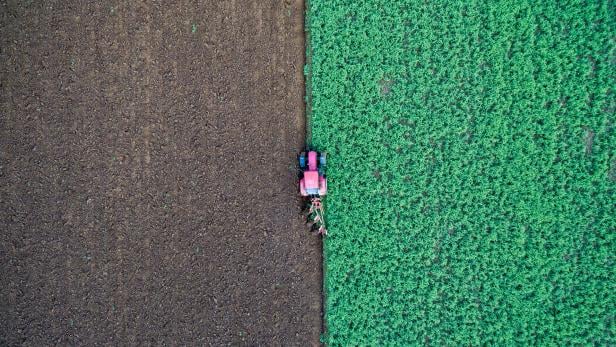 Big Data könnte in der Landwirtschaft für mehr Effizienz sorgen