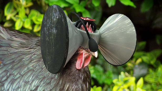 Second Livestock will Hühner auf eine friedliche, virtuelle Farm versetzen