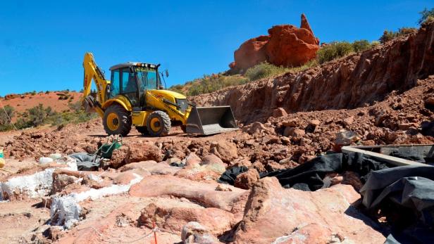Ein argentinisches Forscherteam fand bei Ausgrabungen eine neue, bisher unbekannte, Dinosaurier-Art.