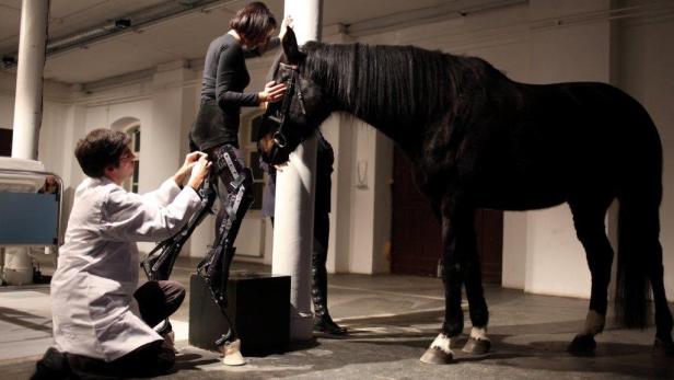 &quot;May the Horse Live in me&quot; / Art Orienté Objet