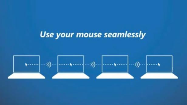 mouse.jpg