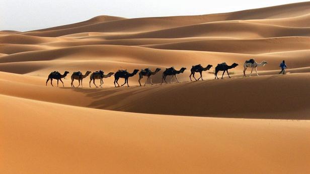 Die größte Wüste (ohne Kältewüsten): Sahara mit 9,1 Mio. Quadratkilometern Die Sahara ist damit so groß wie die gesamten Vereinigten Staaten von Amerika und fast so groß wie ganz Europa (10,2 Mio. Quadratkilometer).