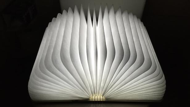 Homdox LED-Buch-Lampe