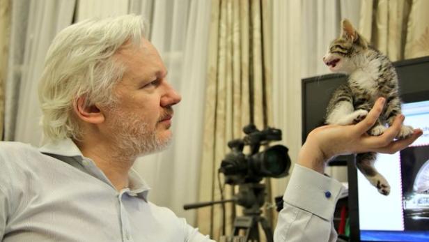 Assange mit Katze