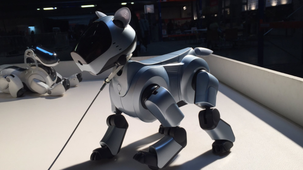 Der Roboter-Hund Aibo soll in Japan wieder verkauft werden - für das Mitlernen der Gewohnheiten muss man aber extra zahlen.