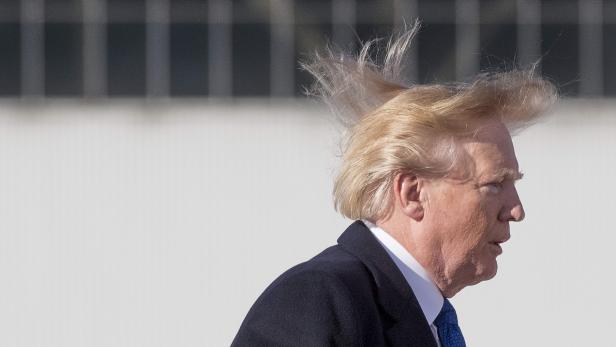 FILES-US-POLITICS-TRUMP-HAIR-OFFBEAT