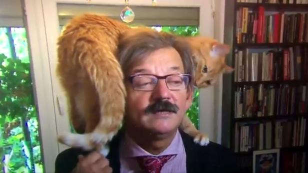 Der polnische Historiker Jerzy Targalski mit Katze auf den Schultern während eines TV-Interviews