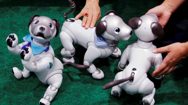 Owners pet their AIBO robot dogs at Sony Corp's entertainment robot AIBO's fan meeting in Tokyo