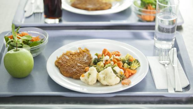 Ein Tablett mit einem Teller mit Gemüse und einem Leibchen sowie einem Apfel und Salat und Wasser.