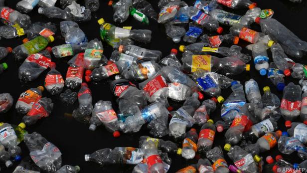 Plastikflaschen sind eine wahre Umweltsünde