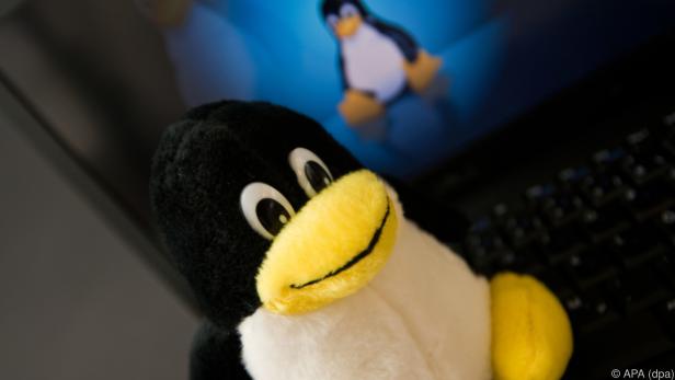 Das Linux-Maskottchen ist ein Pinguin