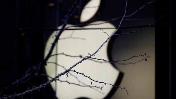 FILE PHOTO: An Apple company logo is seen behind tree branches outside an Apple store in Beijing