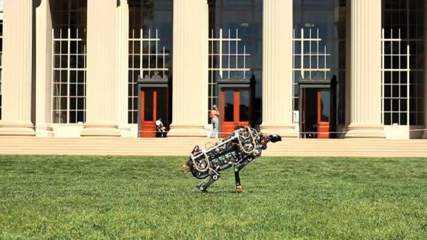Der Roboter Cheetah ist - zumindest am Laufband - der schnellste Laufroboter der Welt