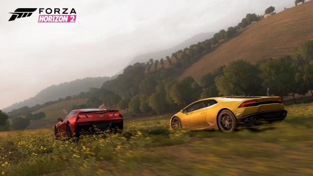 In Forza Horizon 2 flitzen die Sportwagen nicht nur auf Straßen, sondern auch quer durch die Botanik