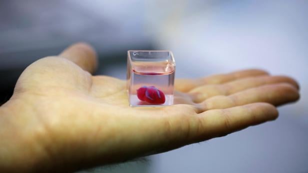 A transparent cup containing what Israeli scientists from Tel Aviv University say is the world's first 3D-printed, vascularised engineered heart, is seen during a demonstration at a laboratory in the university, Tel Aviv