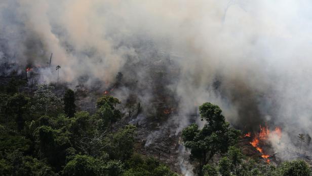 An aerial view of a tract of Amazon jungle burning as it is being cleared by loggers and farmers near the city of Novo Progresso