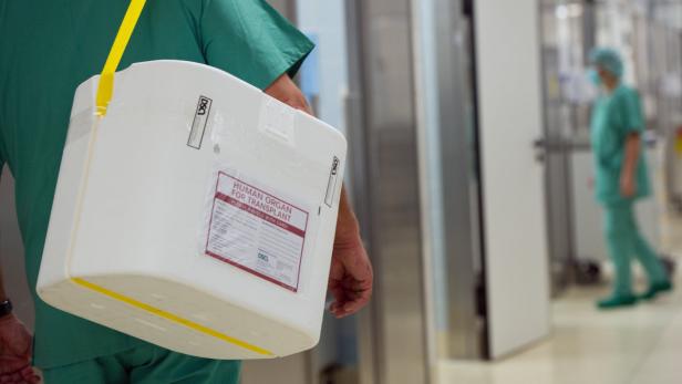 Ein Styropor-Behälter zum Transport von zur Transplantation vorgesehenen Organen