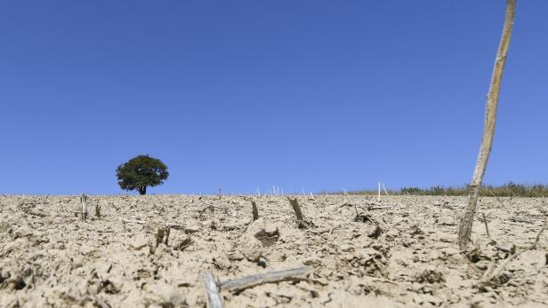 Bodenerosion führt zum Verlust von fruchtbarer Erde, verringert die landwirtschaftliche Produktivität und gefährdet damit die Ernährung der Weltbevölkerung