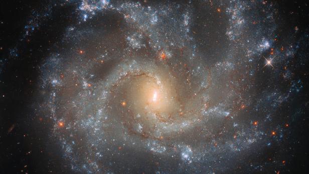 Die Spiralgalaxie NGC 5468, aufgenommen vom Hubble Weltraumteleskop