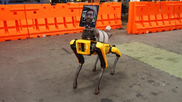 Roboterhund Spot mit Tablet als Telepräsenzgerät