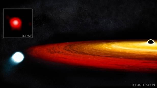 Künstlerische Darstellung des Weißen Zwergs, der um das Schwarze Loch im Zentrum der Galaxie GSN 069 kreist