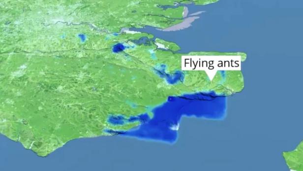 Wetterradarbild mit Ameisenschwärmen im Südosten Englands