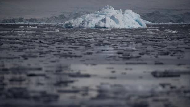FILE PHOTO: Small chunks of ice float on the water near Fournier Bay, Antarctica