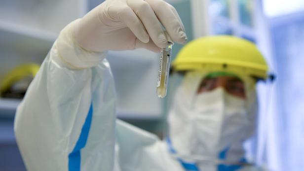 Hungarian university hospitals conduct mass coronavirus testing