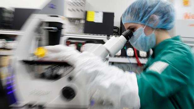 FILE PHOTO: A scientist examines COVID-19 infected cells under a microscope during research for a vaccine against the coronavirus disease at a laboratory in Saint Petersburg