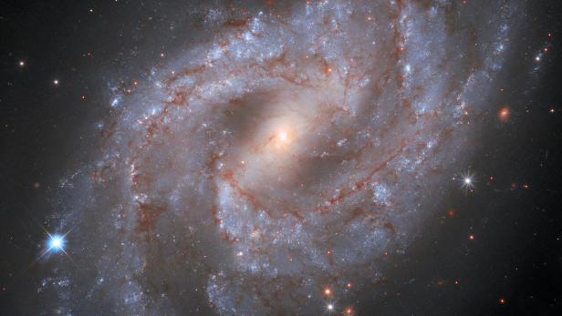 Bild einer Supernova in der 70 Millionen Lichtjahre entfernten Galaxie NGC 2525
