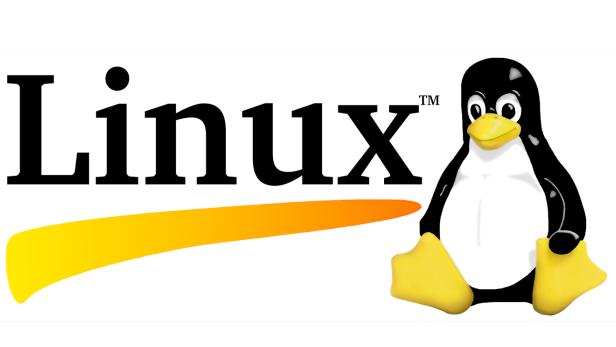 Tux der Pinguin ist das Maskottchen des Betriebssystems Linux