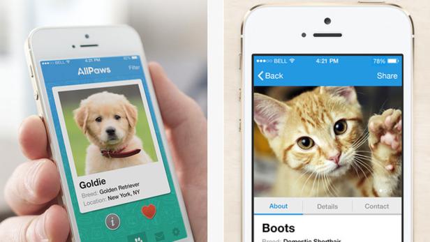 AllPaws soll die Suche nach einem neuen Haustier im Dating-App-Stil erleichtern