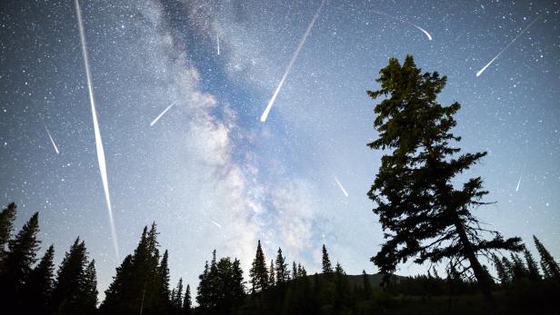 Pine trees silhouette Milky Way falling stars