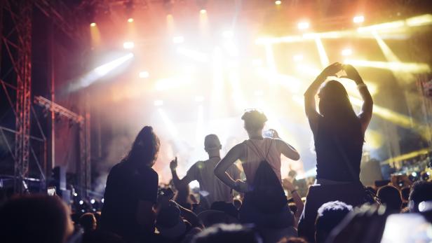 Porträt einer glücklichen Menschenmenge, die ein Musikfestival genießt.