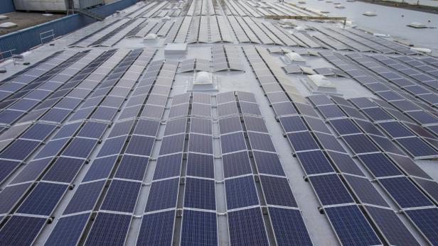 Wien Energie setzt seit längerem auf Photovoltaik